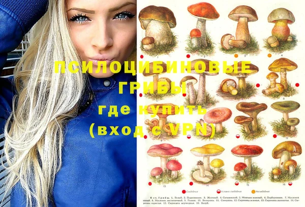 мяу мяу мука Арсеньев