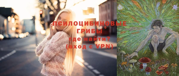 мяу мяу мука Арсеньев