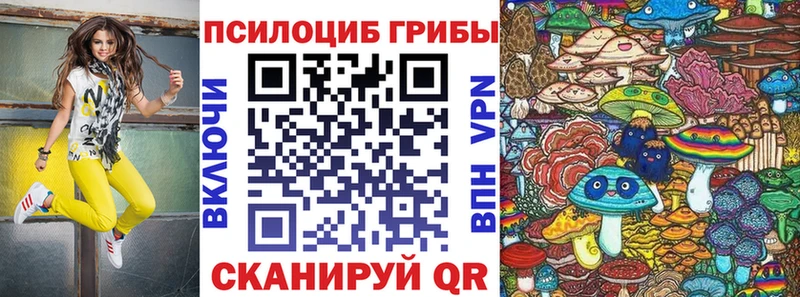 купить наркотики цена  Полярные Зори  Псилоцибиновые грибы мицелий 